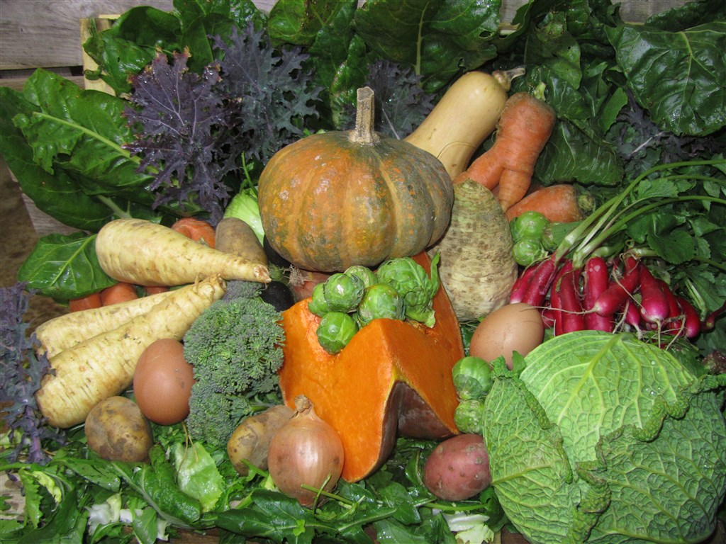 Panier de légumes d'hiver (3)